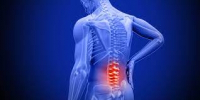Bài tập TL103 cho người đau thắt lưng